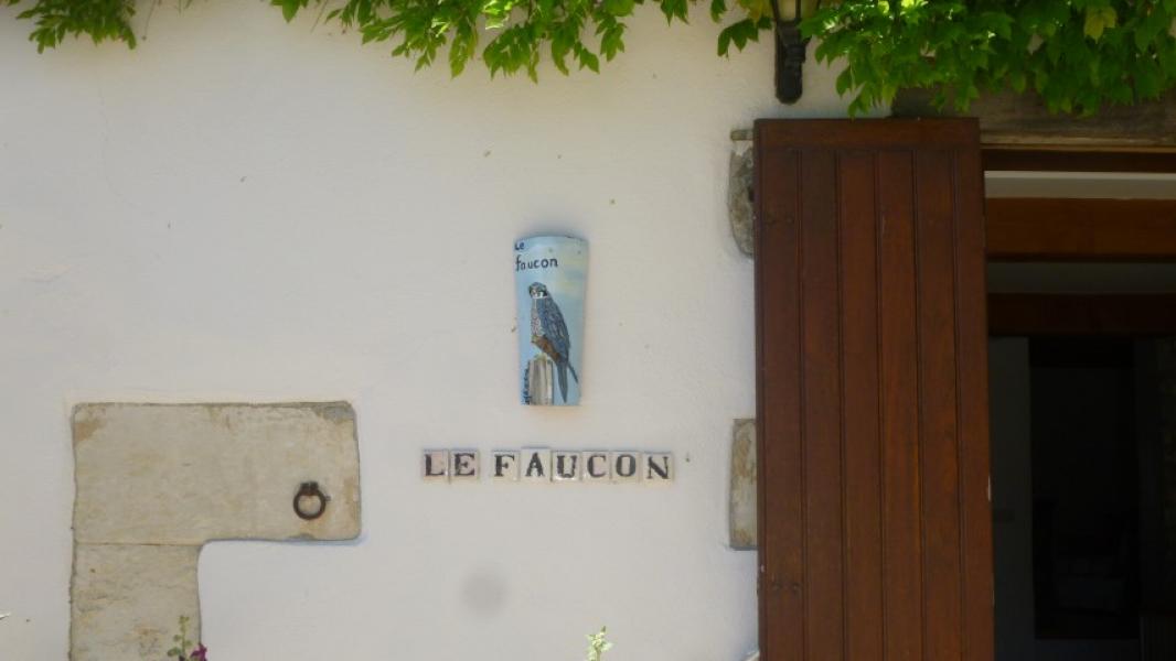 le faucon